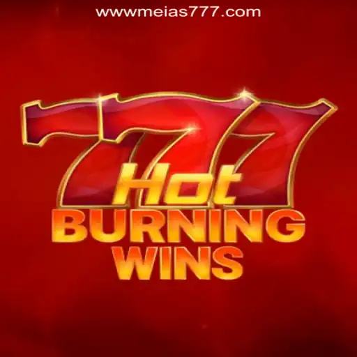 Exploring HotBurningWins and the Trust of Meias777.com Online Casino